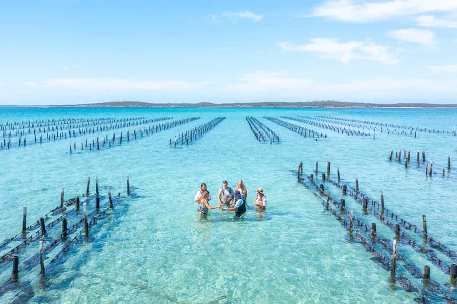 Coffin Bay: Oyster Farm Boat Tour with Wading & 12 Oysters - Why Coffin Bay is the right place for an oyster tour