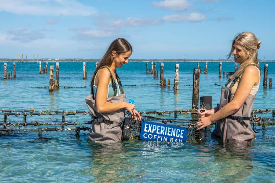 Coffin Bay: Oyster Farm Boat Tour with Wading & 12 Oysters - Brother’s Island and the return cruise