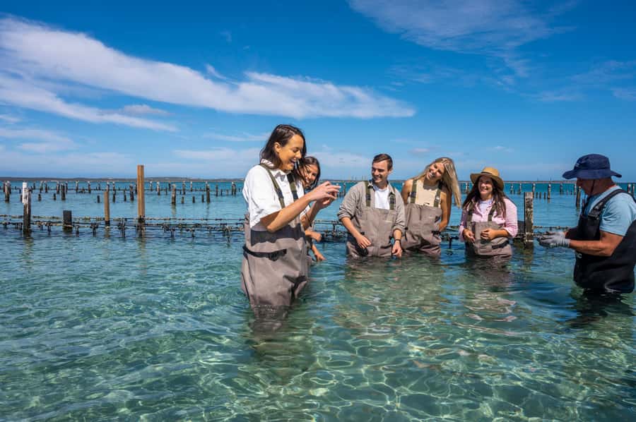 Coffin Bay: Oyster Farm Boat Tour with Wading & 12 Oysters - Timing, comfort, and what to bring