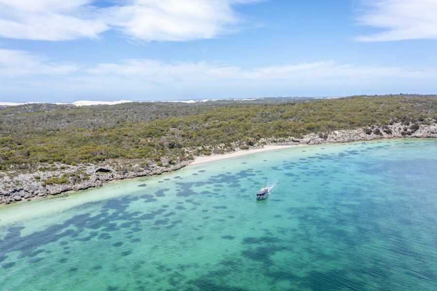 Coffin Bay: Oyster Farm Boat Tour with Wading & 12 Oysters - Who will enjoy this experience most