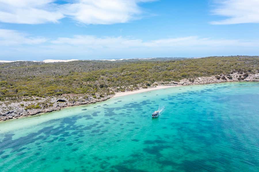 Coffin Bay: Oyster Farm Boat Tour with Wading & 12 Oysters - Walking through the oyster leases