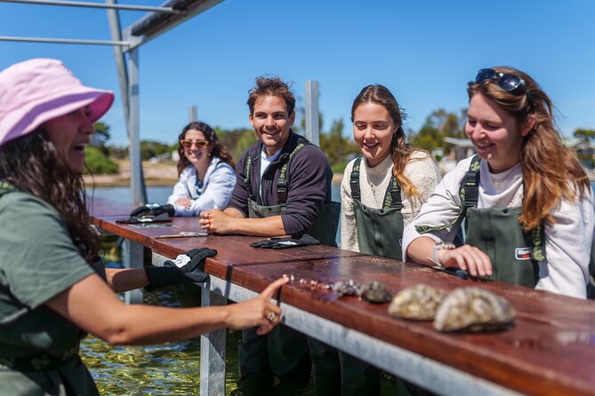 Coffin Bay Oyster Farm Wading Tour & Tasting Experience - The optional wine and seafood upgrades