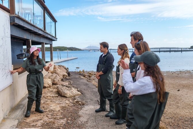 Coffin Bay Oyster Farm Wading Tour & Tasting Experience - Who will enjoy this tour most