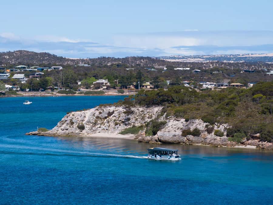 Coffin Bay: Short and Sweet Oyster Farm Tour - At the farm, the oyster story takes center stage