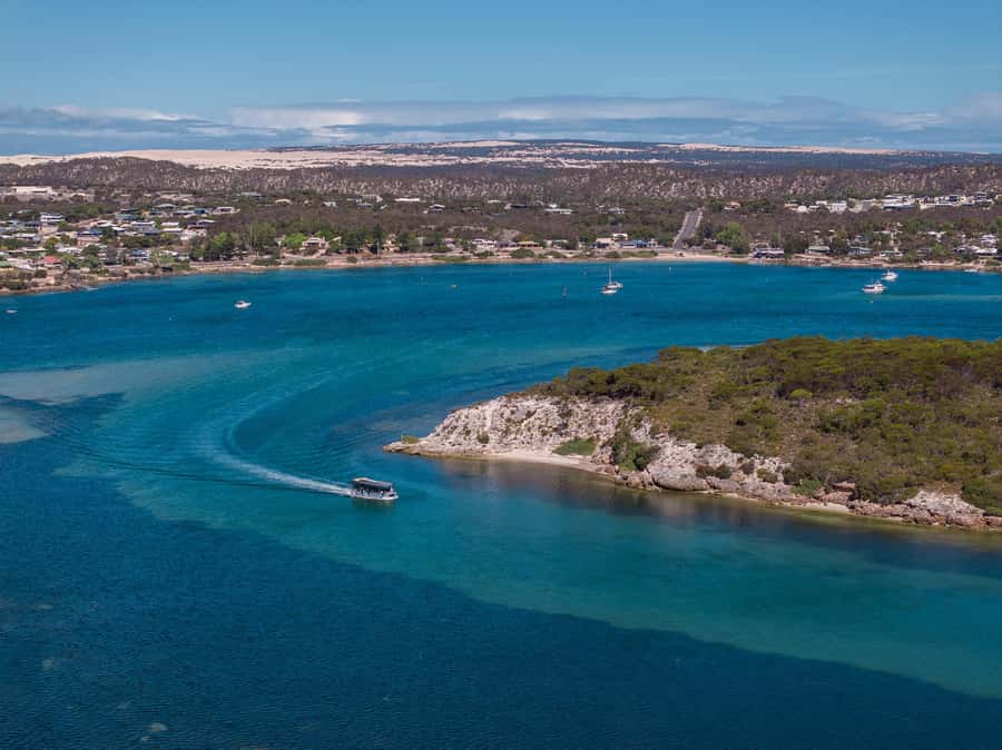 Coffin Bay: Short and Sweet Oyster Farm Tour - Six oysters and a lesson in shucking