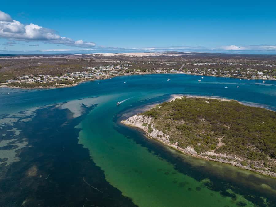 Coffin Bay: Short and Sweet Oyster Farm Tour - The return cruise and the real pace of the trip