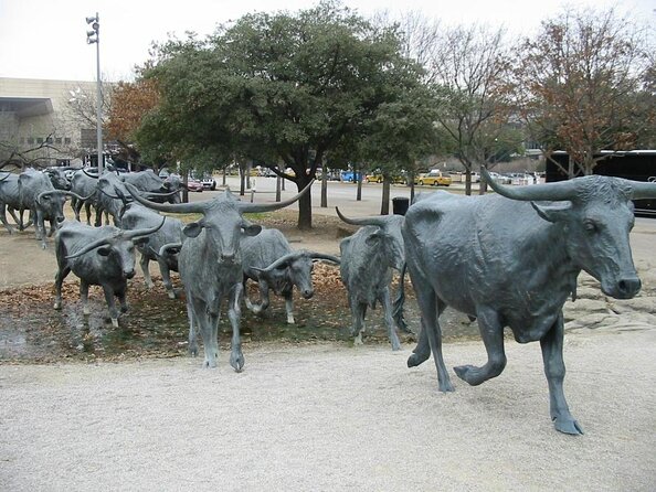 Combination Southfork Ranch and Dallas/JFK Highlights Tour - Key points to know before booking