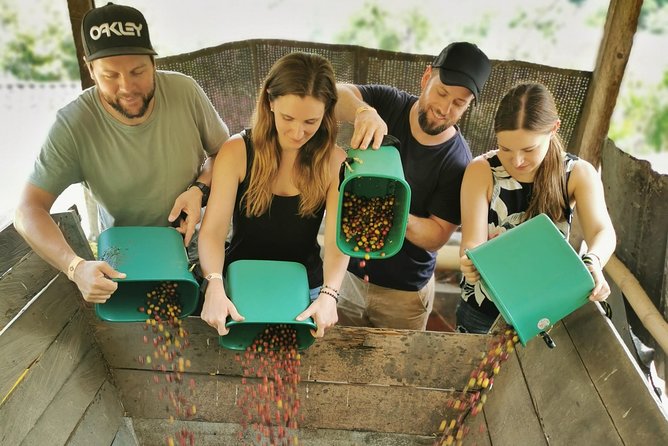 Comuna 13 & Coffee Farm Private Tour in Medellin | The Best Combo - Why this two-part day works so well