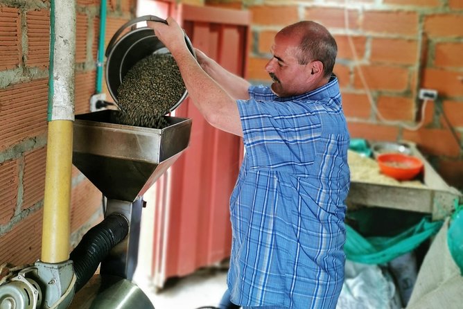 Comuna 13 & Coffee Farm Private Tour in Medellin | The Best Combo - Walking through a family coffee farm near Sabaneta