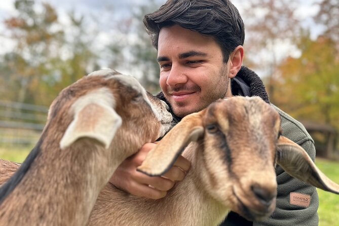 Connect with Rescue Animals on a Private Farm Tour in Catskills - Meeting the Animals at Napping Horse Farm