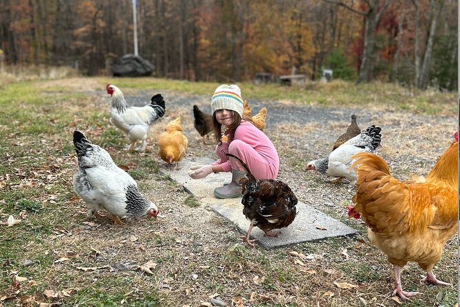 Connect with Rescue Animals on a Private Farm Tour in Catskills - A Good Choice for Families With Young Children