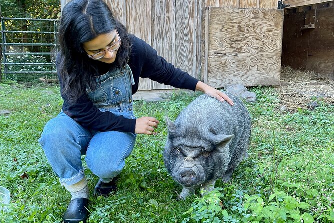 Connect with Rescue Animals on a Private Farm Tour in Catskills - The Private Group Format and Its Value