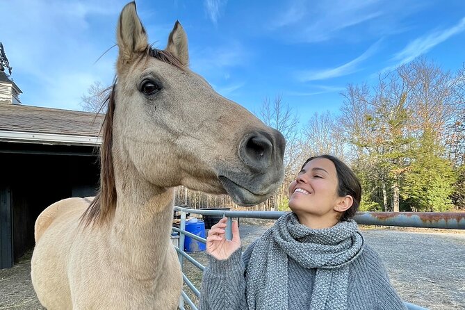 Connect with Rescue Animals on a Private Farm Tour in Catskills - How This Fits Into a Catskills Day