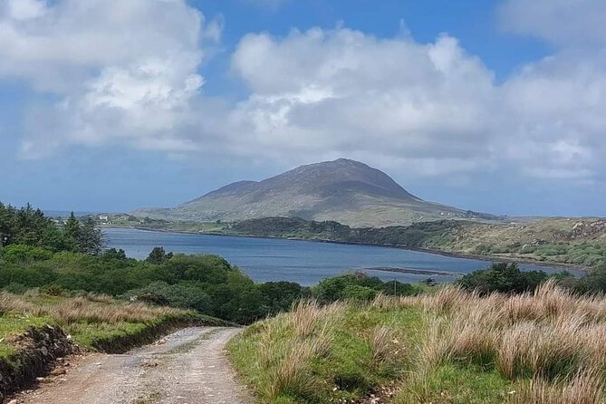 Connemara Sheep Farm experience & Kylemore Abbey by Lux Limousine - Why this private Connemara day works so well