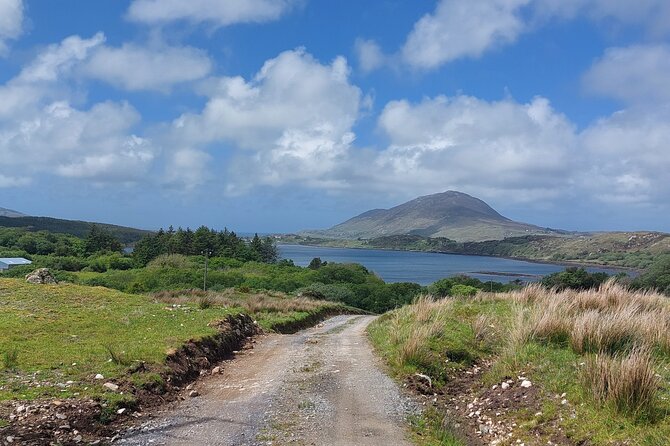 Connemara Sheep Farm experience & Kylemore Abbey by Lux Limousine - What the $901.19 group price buys you