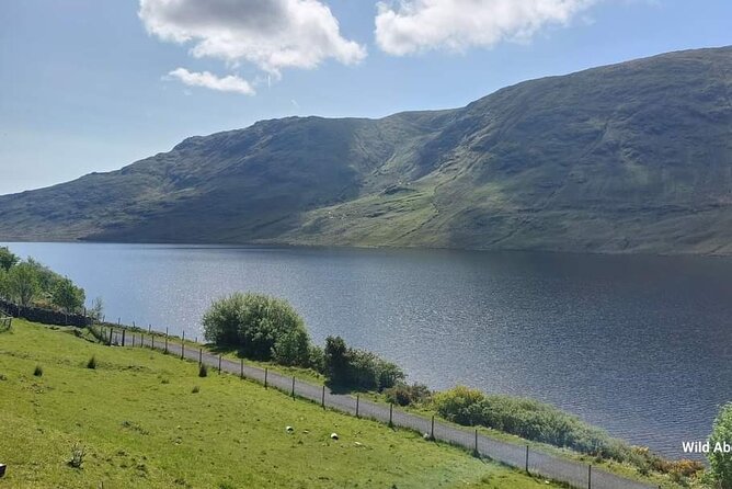Connemara Sheep Farm experience & Kylemore Abbey by Lux Limousine - Practical planning for your Galway departure