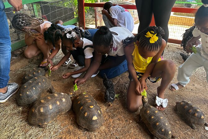 Connors Farms Petting Zoo - Reaching the farm from Fortuna Road