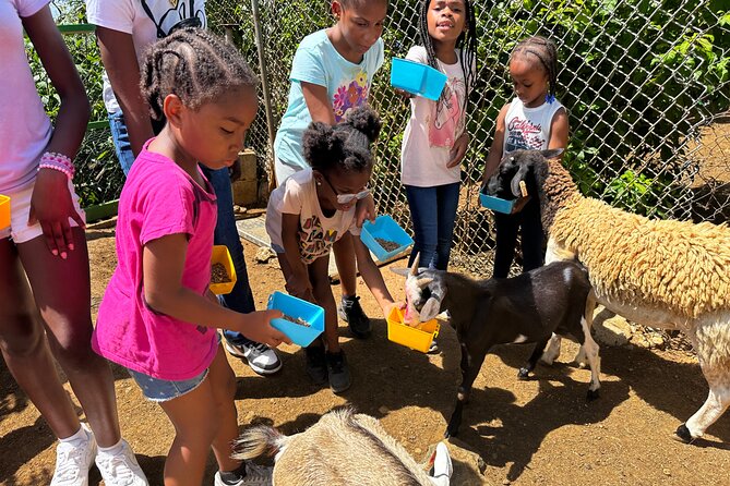 Connors Farms Petting Zoo - What the $25 price includes