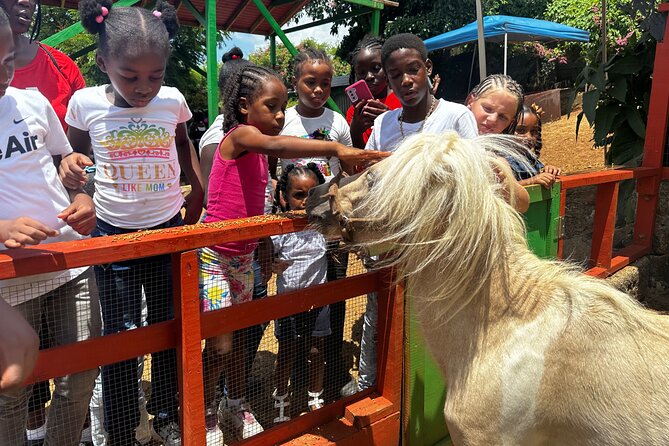 Connors Farms Petting Zoo - Meeting the farm animals at Connors Farms