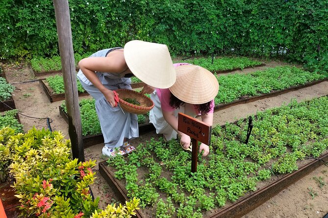 Cooking Class Hoi An - Organic Garden - Farming Tour-Handicrafts - The nearby riverside resort stop
