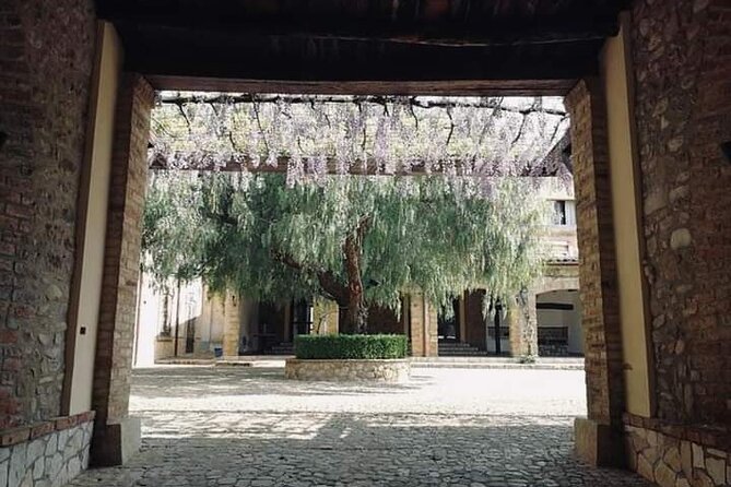 Cooking Class in a historic sicilian farmhouse - Farm ingredients give the menu a clear sense of place