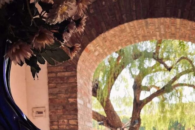 Cooking Class in a historic sicilian farmhouse - Price, time, and what you actually receive