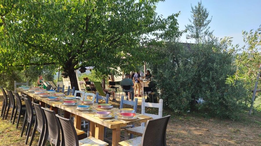 Cooking class in our family farm in Chianti with lunch - Who Will Enjoy This Class Most?