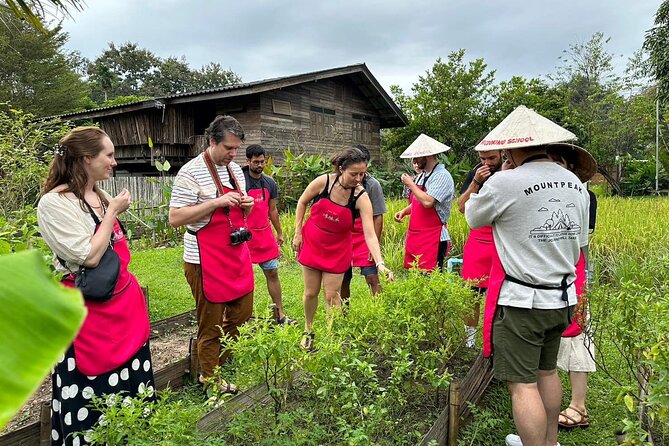 Cooking Class with Organic Farm in Chiang Mai - Key points at a glance