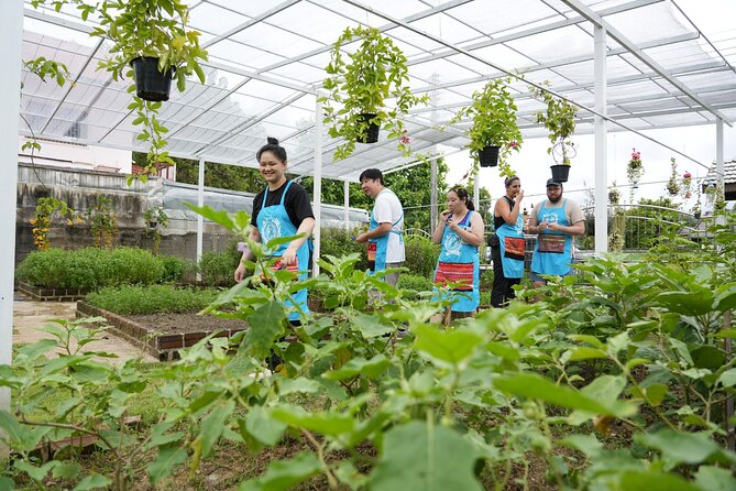 Cooking Class with Organic Farm in Chiang Mai at Mama Noi - A market visit that gives the meal some context