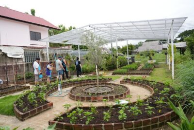 Cooking Class with Organic Farm in Chiang Mai at Mama Noi