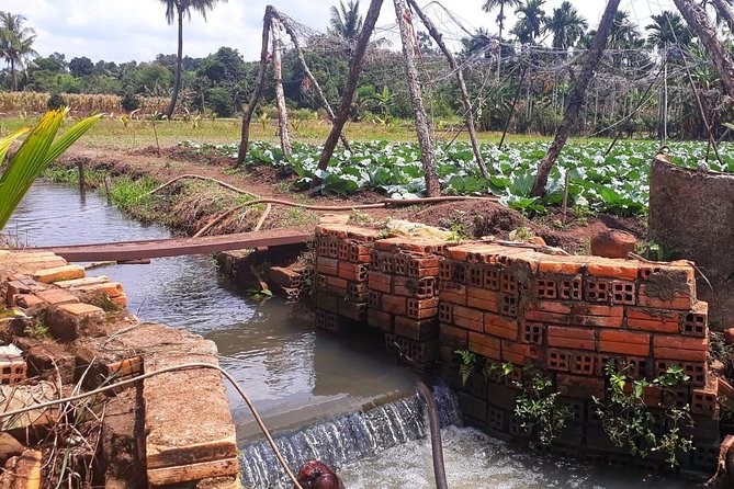 Cooking, Farming and Waterfall In Vietnam Countryside - Working among young coffee trees