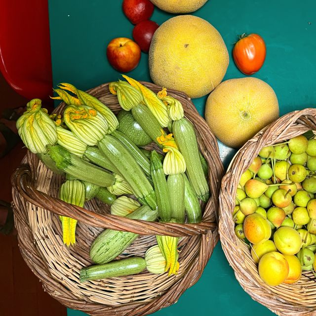 Corfu: Organic Olive Oil Farm Tour with Transfer and Tasting - A close look at Corfu’s olive-growing tradition