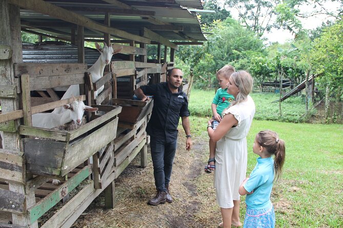 Costa Rica Descents Organic Farm - Key points to know before you go