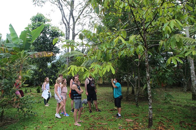 Costa Rica Descents Organic Farm - A farm visit that connects crops to your plate