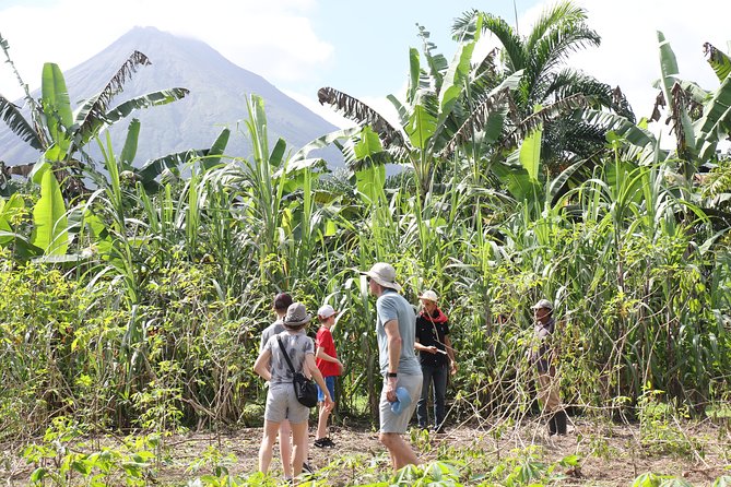 Costa Rica Descents Organic Farm - Small groups help, but this is not a private tour
