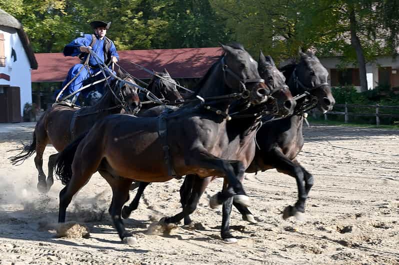 Countryside ranch, horse show & lunch - The horse show puts Hungarian riding first