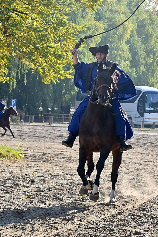 Countryside ranch, horse show & lunch - Why the $127 price can make sense