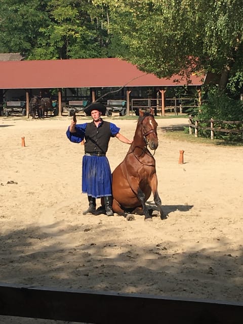 Countryside ranch, horse show & lunch - A relaxed alternative to a large coach outing
