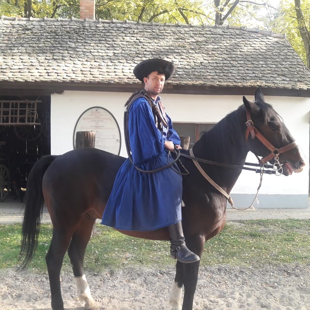 Countryside ranch, horse show & lunch - Who will enjoy this ranch visit most