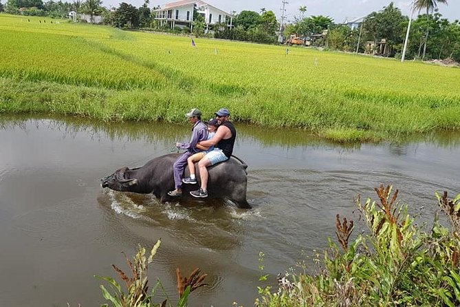 Countryside Tour of Hoi An, Basket Boat, Buffalo ride, Farming with local Farmer - How the guides shape the experience