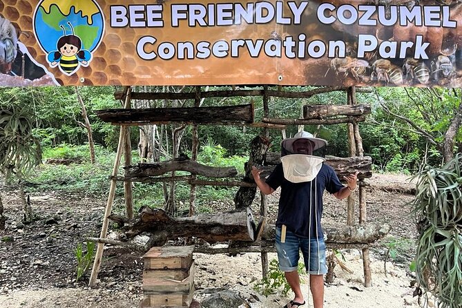 Cozumel: Hands-On Chocolate, Tortilla, Salsa & Honey Experience - A Four-Hour Introduction to Cozumel Through Food