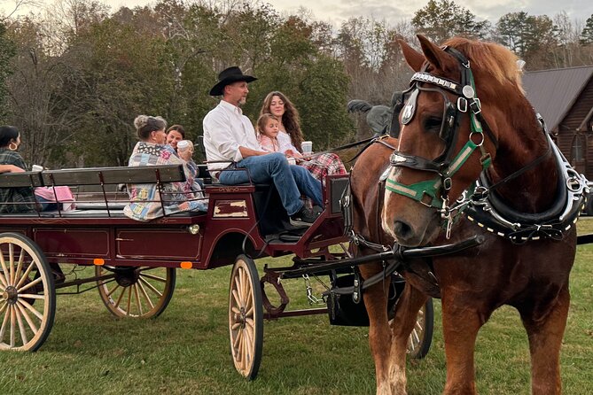 Cozy Farm Experience with Wagon Wheels and Acoustic Meal - S’mores, Firelight, and Smoky Mountain Views