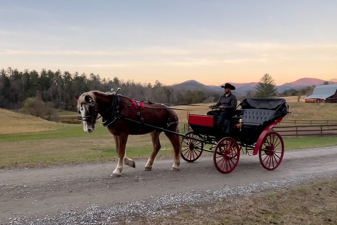 Cozy Farm Experience with Wagon Wheels and Acoustic Meal - Who Will Enjoy This Townsend Experience?