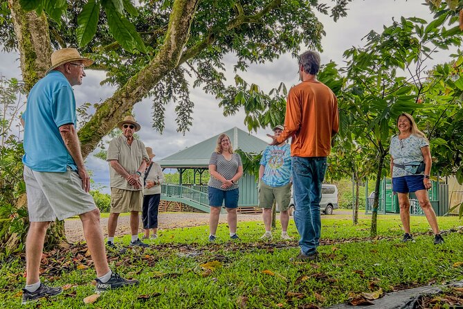 Craft Chocolate Tasting and Farm Experience on the Big Island - From ancient cacao to Hawaii’s craft chocolate movement