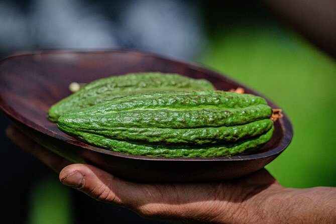 Craft Chocolate Tasting and Farm Experience on the Big Island - How the $135 price measures up