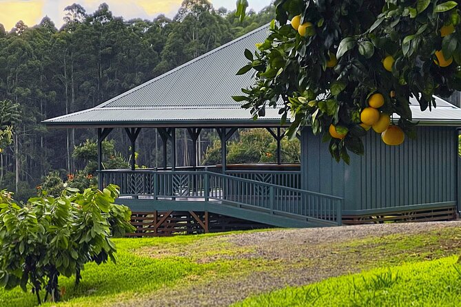 Craft Chocolate Tasting and Farm Experience on the Big Island - Getting there from Hilo or Kona