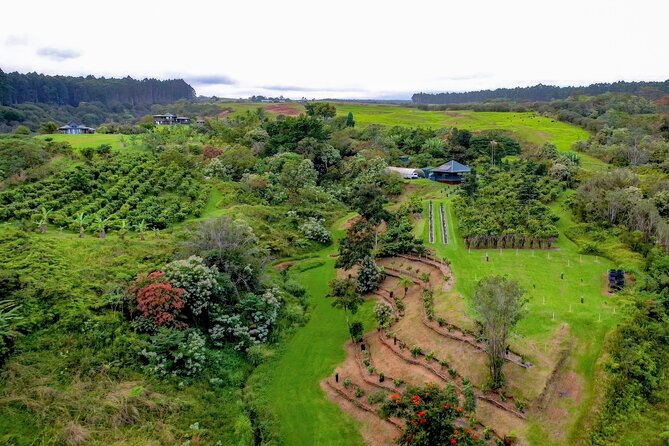 Craft Chocolate Tasting and Farm Experience on the Big Island - Who will enjoy this experience most