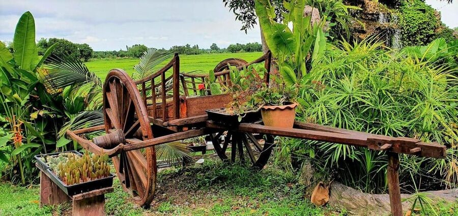 Cultural immersion: Thai cooking, rice farming, eco printing - Cooking Five Thai Dishes in an Open-Air Setting