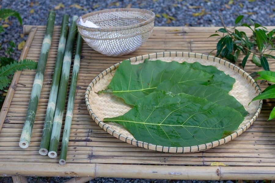 Cultural immersion: Thai cooking, rice farming, eco printing - What the $169 Price Covers