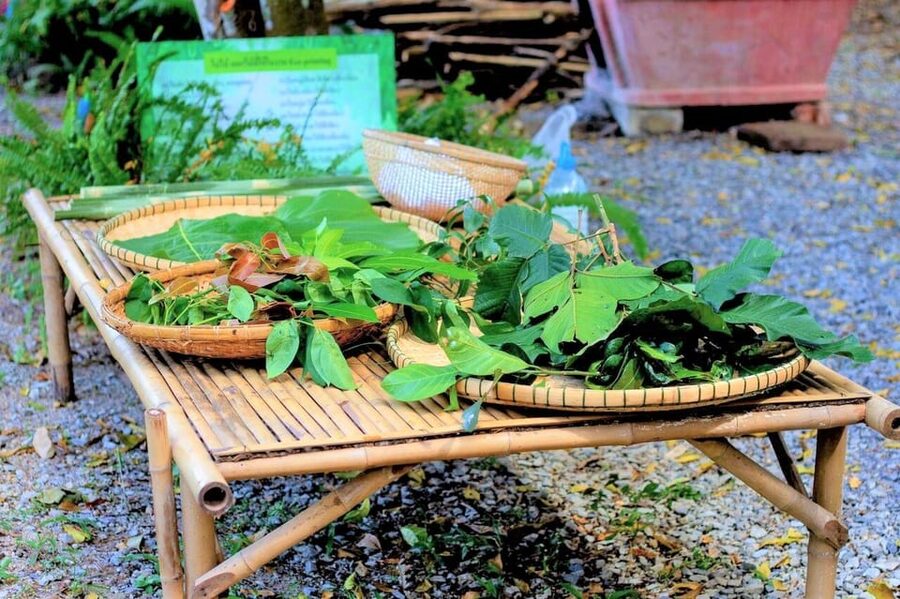 Cultural immersion: Thai cooking, rice farming, eco printing - Fruit Trees, Miang Kham, and Leaf Printing